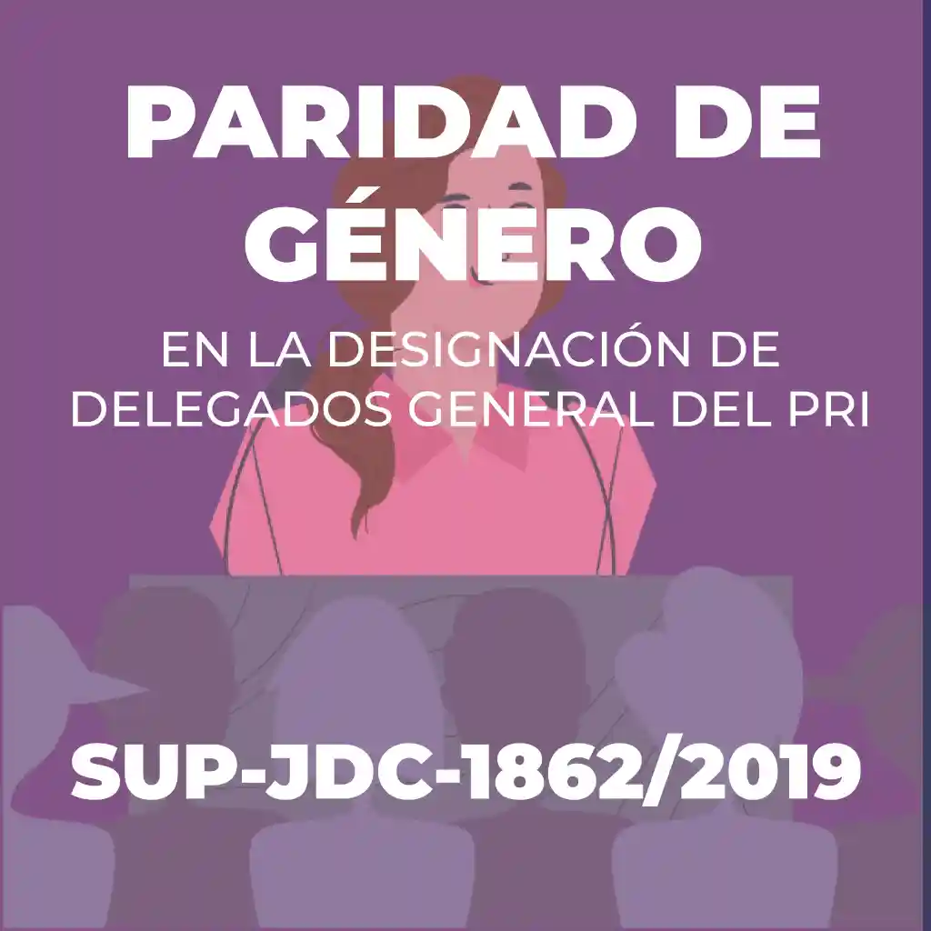 Descripción 4