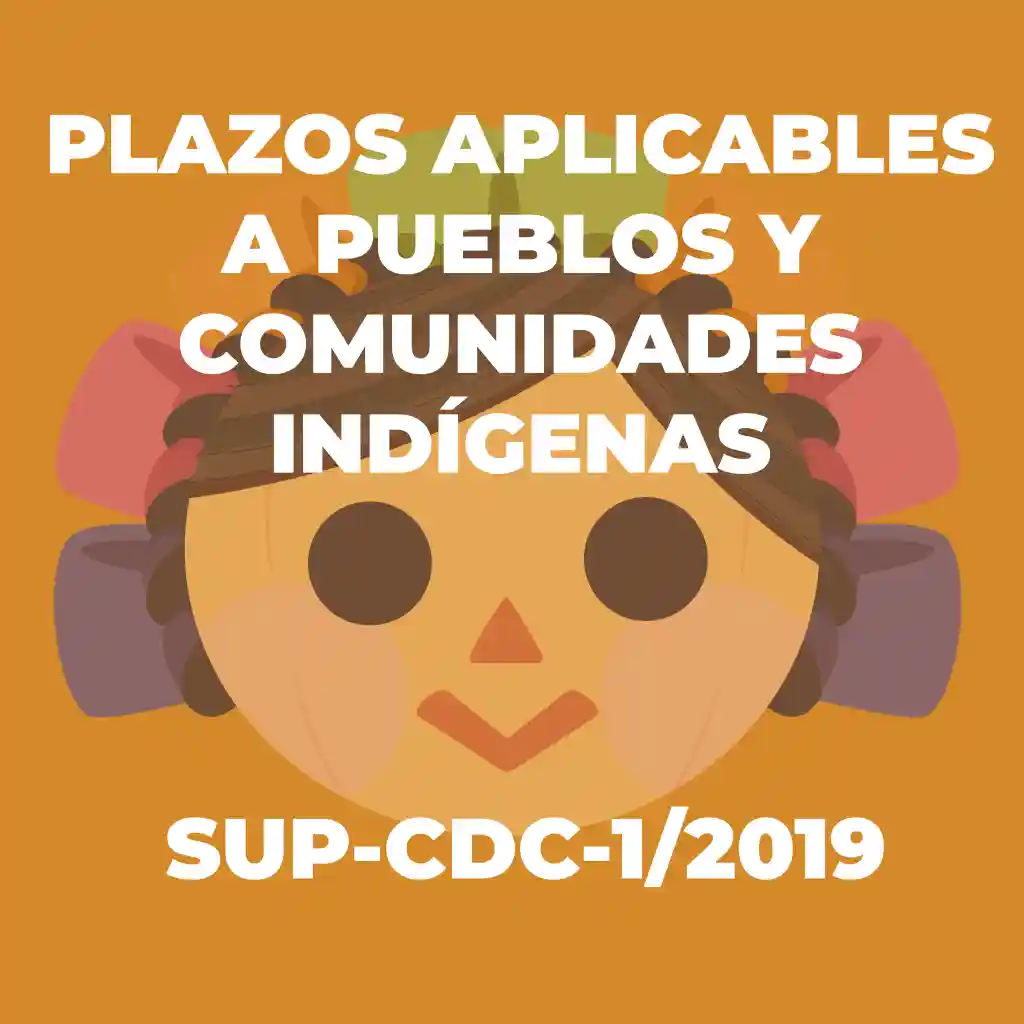 Descripción 6